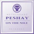On The Nile