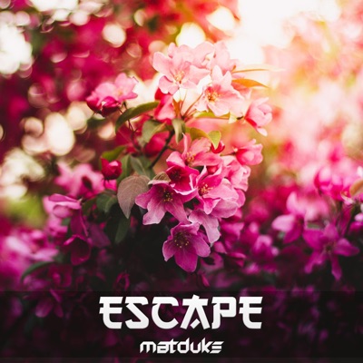 Escape - Single