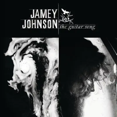 The Guitar Song - Jamey Johnson