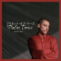 Palm Trees - Single - Initial Talk & Apolloe