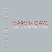 Marvin Gaye - Got to Give It Up (Live)