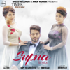 Supna (feat. Zeeshan) [Remix] - Sufi Sparrows