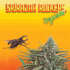 ORGANIX - Srirajah Rockers