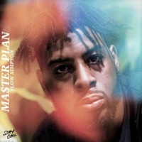 Masterplan - Single - Flow Simpson