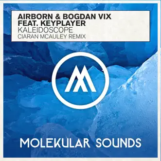 Kaleidoscope (feat. KeyPlayer) [Ciaran Mcauley Remix] by Airborn & Bogdan Vix song reviws