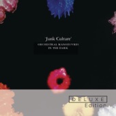 Junk Culture (Deluxe Edition) artwork