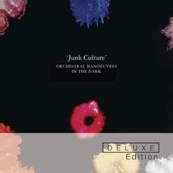 JUNK CULTURE cover art