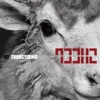 LAY 02 SHEEP