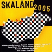 Skaland 2005 artwork