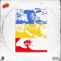 Fall (Into Place) - Single - Fellow Feeling