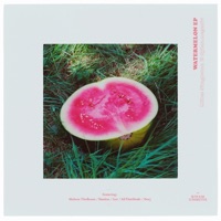 Watermelon EP - Miles Singleton & Dylan.Negativ