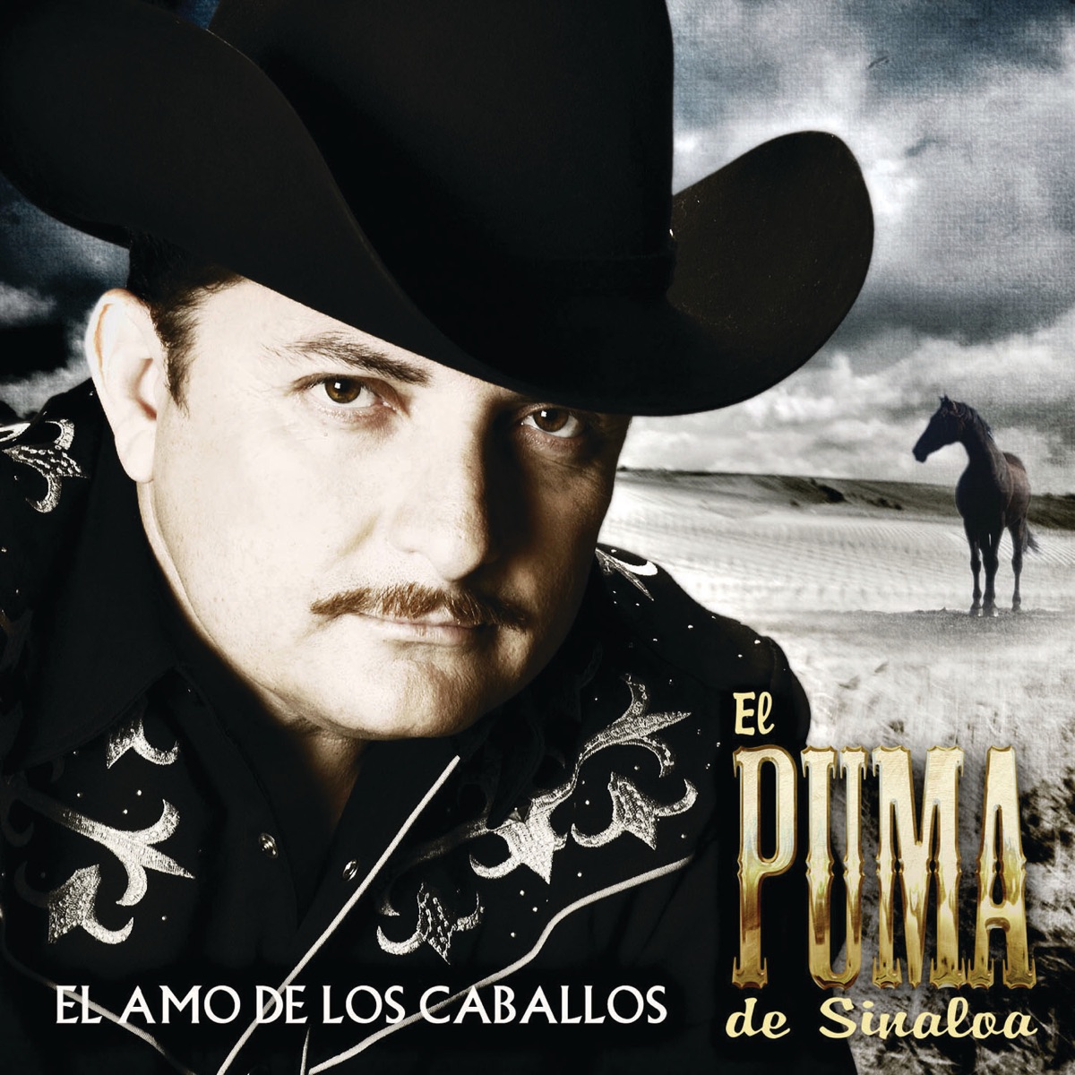 16 Éxitos El Navegante de El Puma De Sinaloa en Apple Music