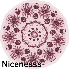 Nicenesss JProd.