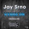 Vission - Jay Srno lyrics
