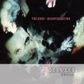 Disintegration (Deluxe Edition) artwork