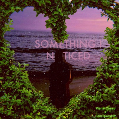 Something I Noticed (feat. SamTakesOff) - Single