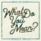 What Do You Mean (feat. Na Drua) - Makisi lyrics