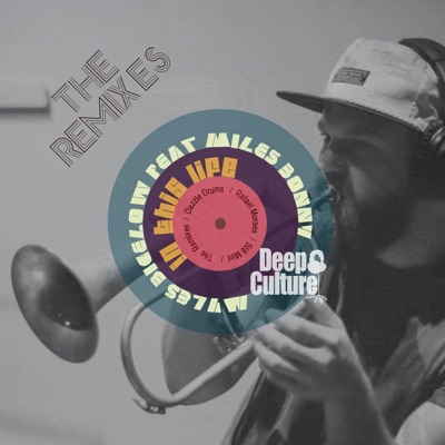 'in This Life' the Remixes (feat. Miles Bonny) - Single