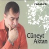 Türküler'le