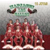 Mariachi Los Gallos - Reprochez Al Viento