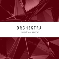 Orchestra (feat. Firetek) - Single - Brinai