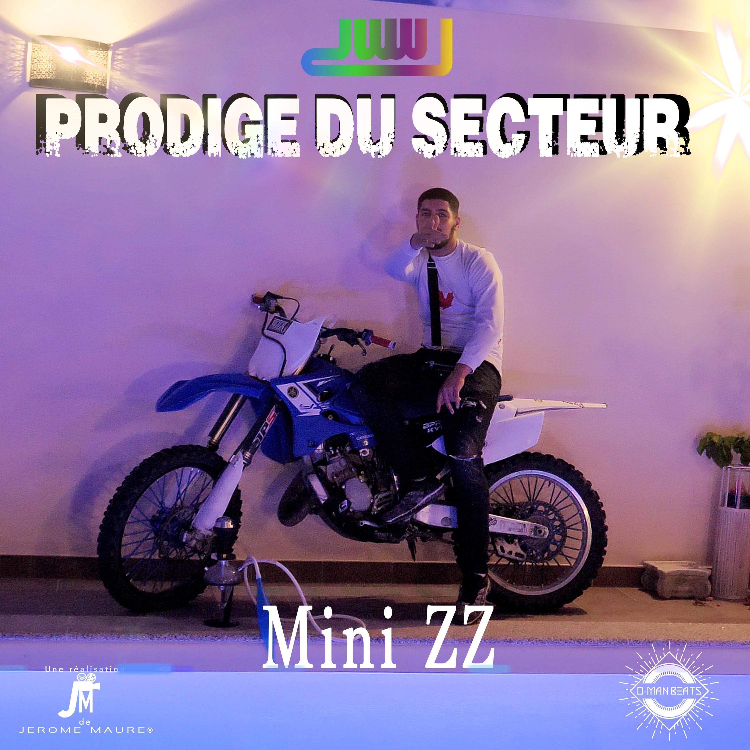 Prodige Du Secteur - Single