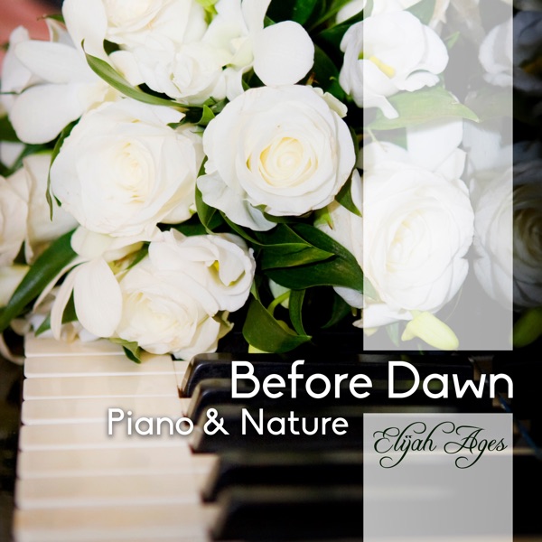 Before Dawn (Piano & Nature)