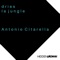 La Jungle - Antonio Citarella lyrics