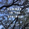 Summer in the Springs - Yamil Gacel lyrics