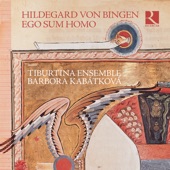 Antiphona caritas abundat (Instrumental) artwork
