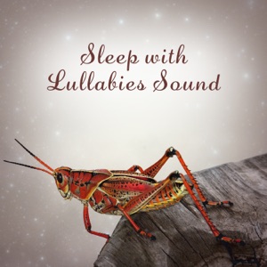 Sleep with Lullabies Sound: Wonderful Therapy for Soul Harmony, Cure for Insomnia, Meditation Music, Calming Effects, Total Rest Inner