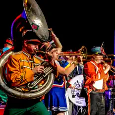 Mucca Pazzaを聴いたり、ミュージックビデオを鑑賞したり、経歴やツアー日程などを確認したりしましょう！