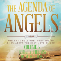 Dr. Kevin L. Zadai - The Agenda of Angels, Volume 5: The Beauty of Holiness artwork