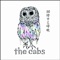 skór - the cabs lyrics