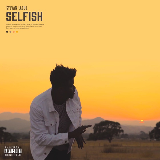 Cover artwork for Selfish