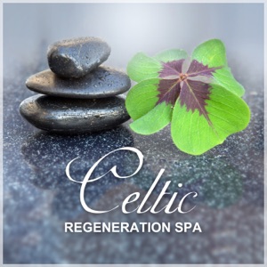 Celtic Regeneration Spa: Irish Relaxation Experience