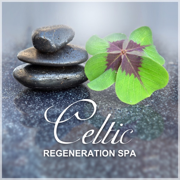 Celtic Regeneration Spa: Irish Relaxation Experience