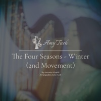 Winter, 2nd Movement (From the Four Seasons) - Single - Amy Turk