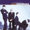 The Blow Monkeys