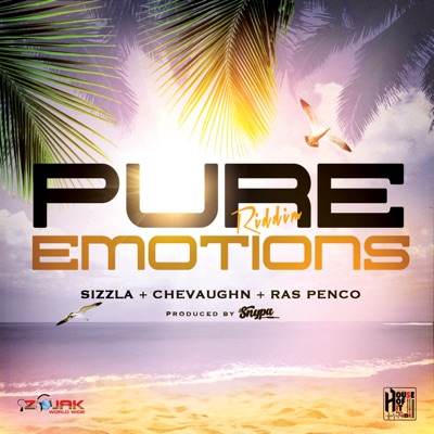 Pure Emotions Riddim - Single