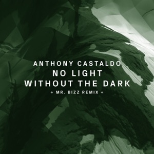No Light Without the Dark - Single
