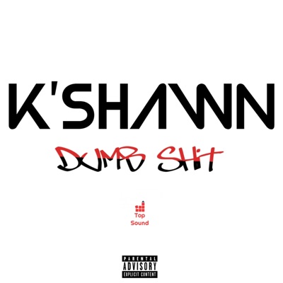 Dumb Shit! - Single