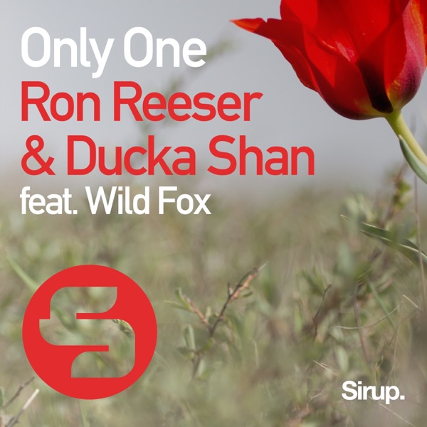 Only One (feat. Wild Fox) - Single