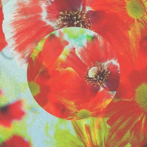 Flowers - Single