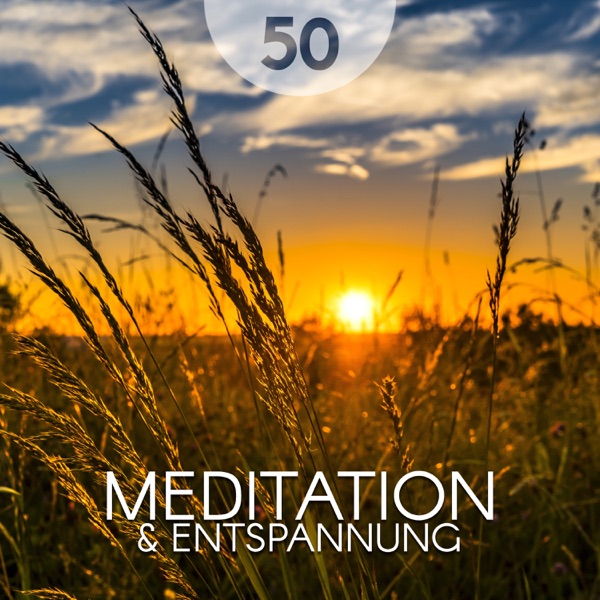 50 Meditation & Entspannung: Zen Musik für Meditation, Yoga, Phantasieren, ruhigen Schlaf