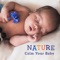 Lullaby for Baby - Bedtime Songs Sanctuary lyrics