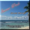 Summer Winds - Single