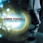 Chris Cornell - Sweet Euphoria