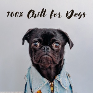 100% Chill for Dogs - Help Dog and Puppy Anxiety from Fireworks, Bangs and Loud Noises