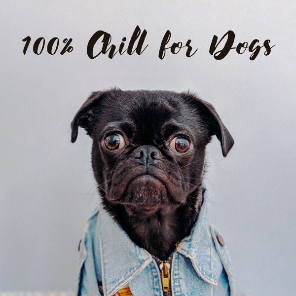 100% Chill for Dogs - Help Dog and Puppy Anxiety from Fireworks, Bangs and Loud Noises